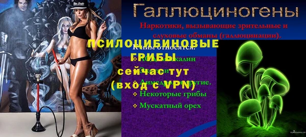 круглые Алзамай