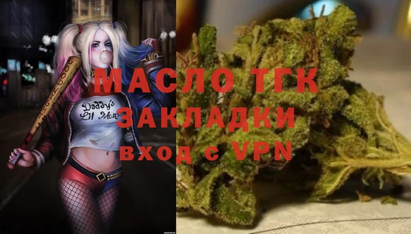 дживик Абаза
