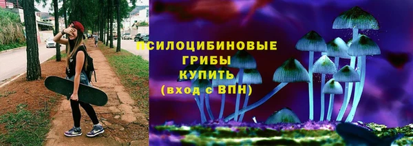 spice Алексеевка