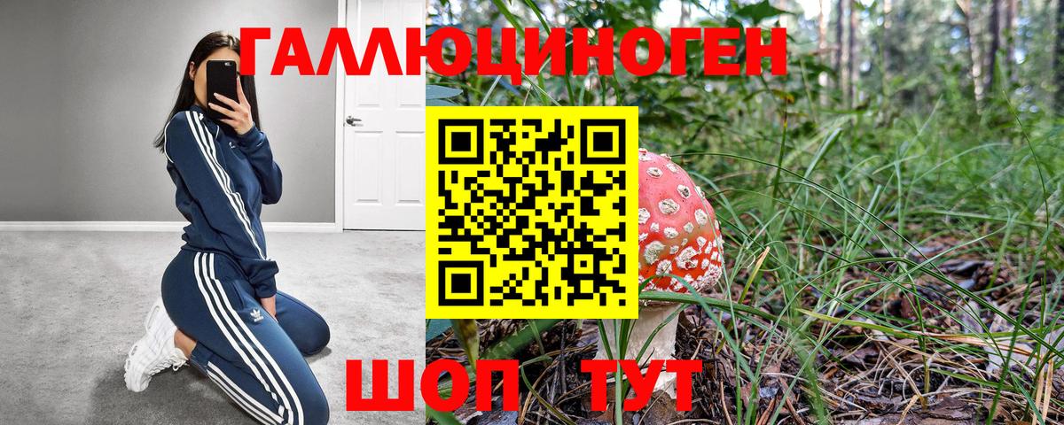 Меф МЯУ МЯУ кристаллы  Codein  Гашиш  Марихуана  Вход с VPN  Елизово  ГАШ 