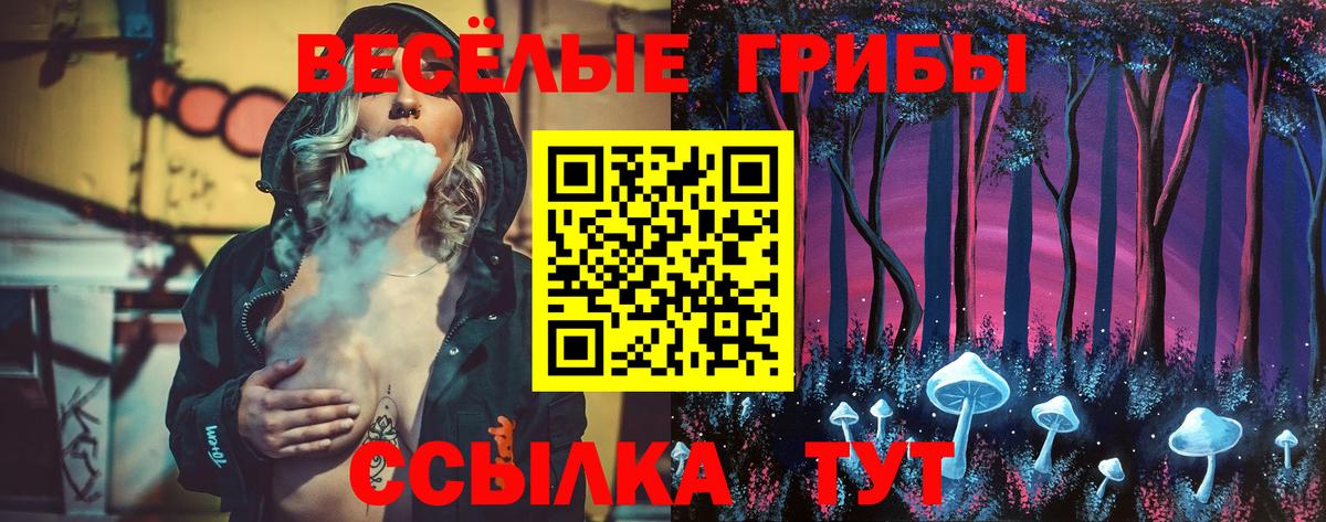 Галлюциногенные грибы прущие грибы Елизово