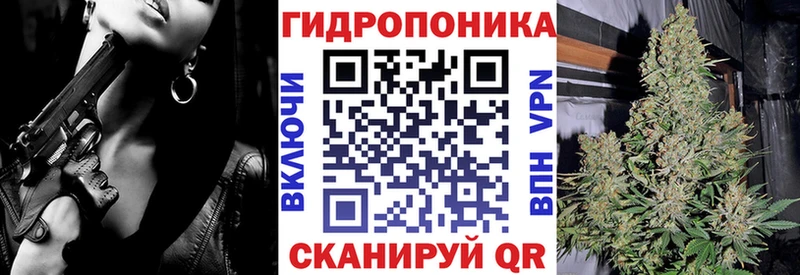 omg вход  Елизово  Каннабис сатива 